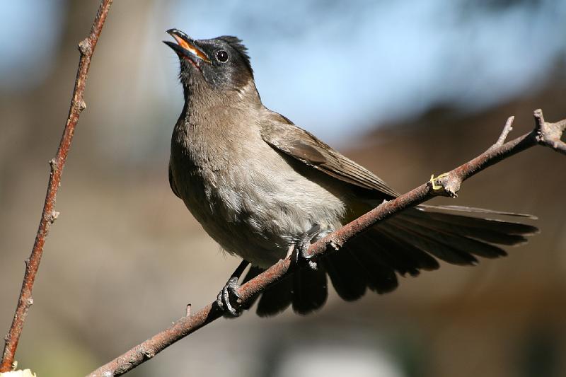 frieda 146.jpg - Lekker!!!!!!!